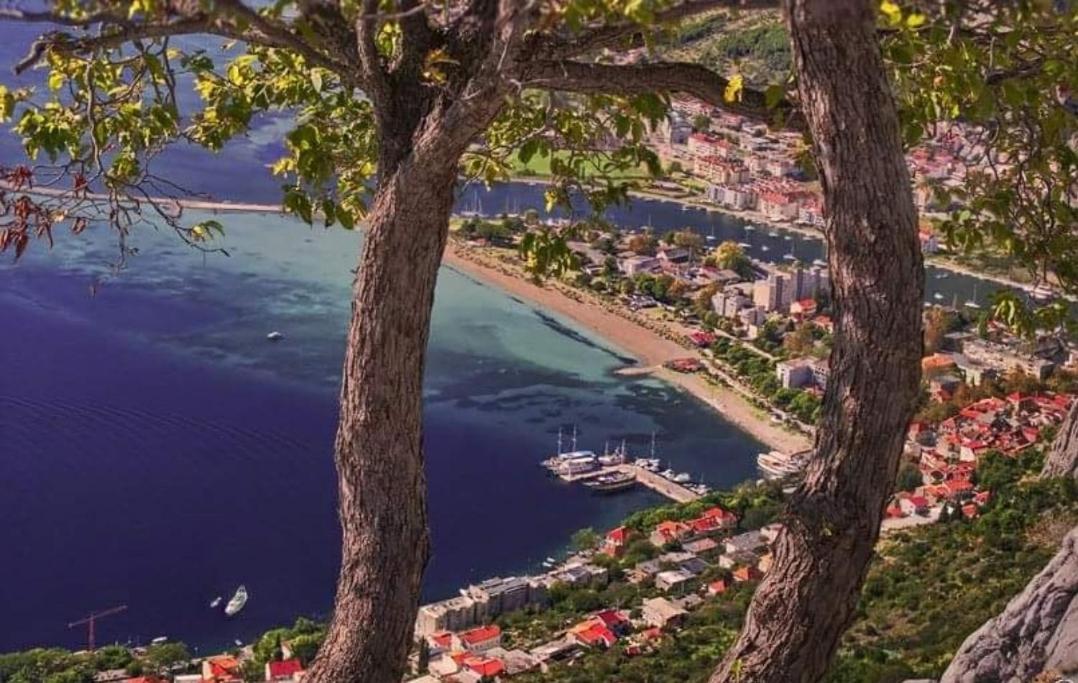 Apartment Island Luxury View Nemira *